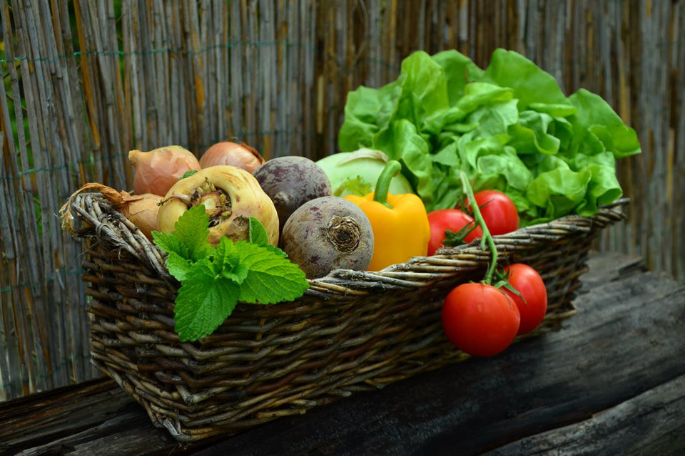 The Allotment